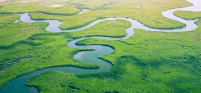 Cách mạng hóa hệ thống tưới tiêu nông nghiệp: Vai trò của ống và phụ kiện PVC